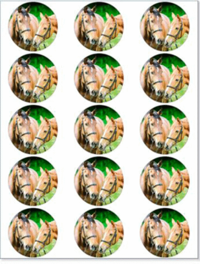 Heste muffinskageprint / sukkerprint