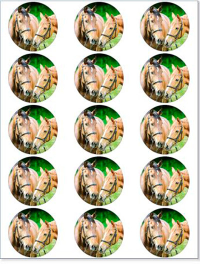 Heste muffinskageprint / sukkerprint