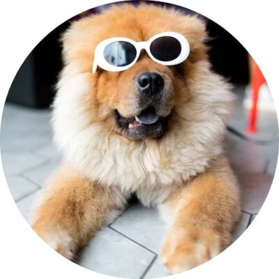 Hund rundt kageprint / sukkerprint - 19 cm.